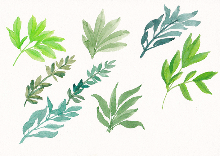 watercolor leaves