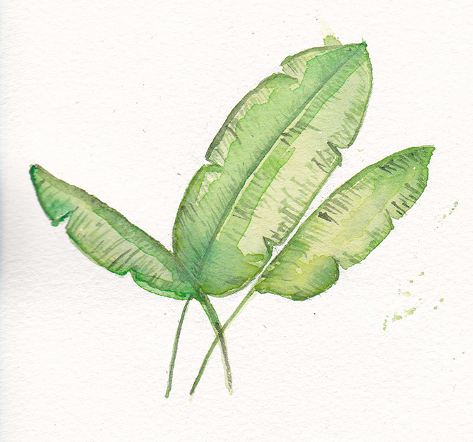 watercolor banana leaves